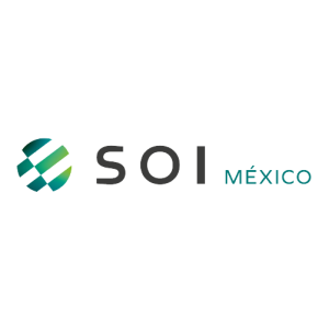 10. SOI