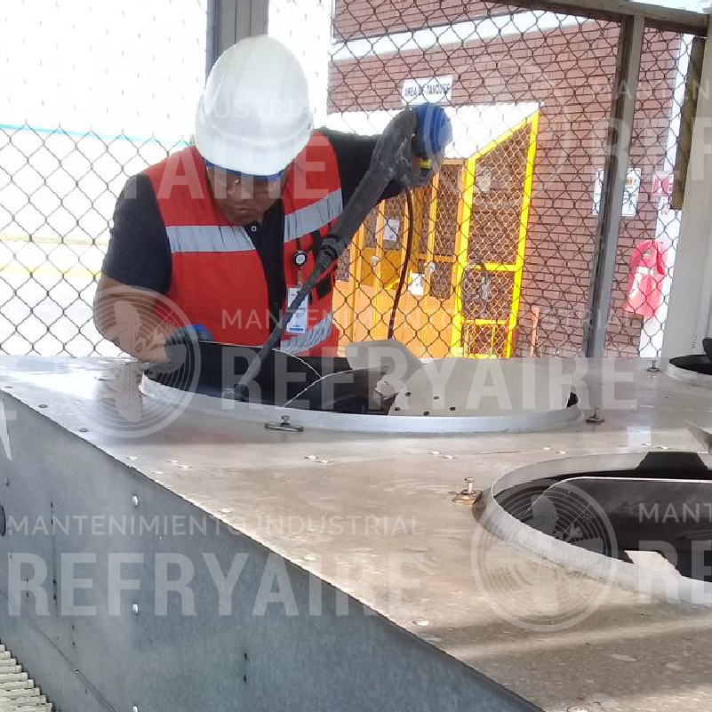 Fotos en campo_11